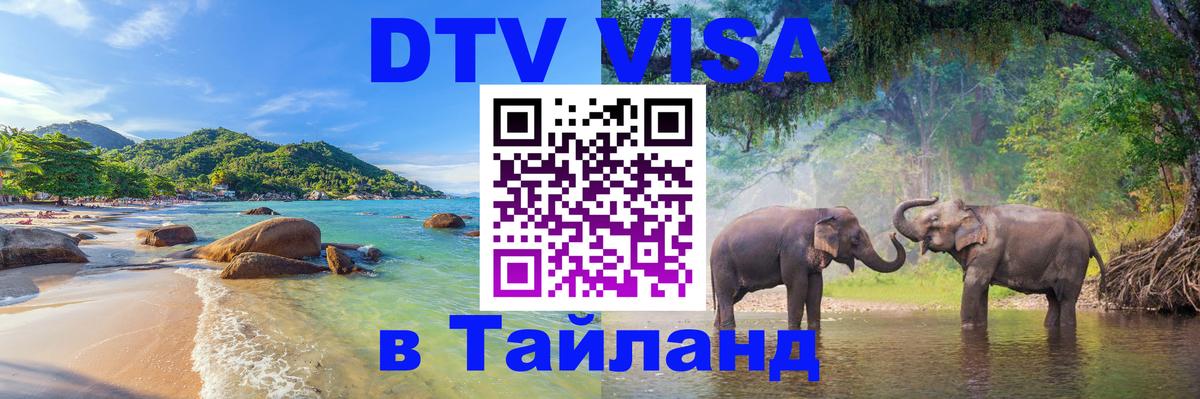 Сколько стоит DTV виза — актуальные цены, оформление даже без документов - 20.11.2025 